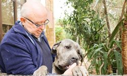 Eşref Vaiz: Liyakat kaybı ve mali kriz ülkeyi çıkmaza sürüklüyor