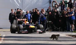 İstanbul'u dolaşan Formula 1 aracının startını kedi verdi!