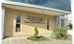 Tarım ve Doğal Kaynaklar Bakanlığı: Bölgelere su verilmeye başlandı; projede ilerleme var