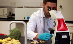 Gıda denetimleri: 4 üründe uygunsuz pestisit