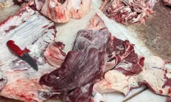 Gazimağusa'daki denetimlerde 800 kilogram et imha edildi