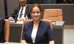 "Erken seçim kaçınılmaz" diyen Doğuş Derya, Haziran ayına işaret etti