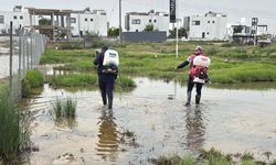 GMB kent genelinde sivrisinekle mücadeleye devam ediyor