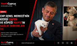 CHP Genel Merkezi’nin “patili sakinleri” Zafer ve Mayıs’tan iyi haber