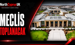 Meclis Genel Kurulu, yasama ve denetim göreviyle toplanacak