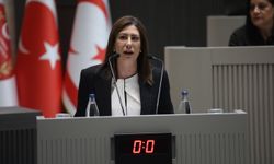 İncirli: Kayıt dışı nüfusla mücadele yöntemi af çıkarmak değil