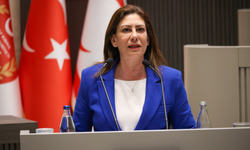 Sıla Usar İncirli: “Gazeteciliği suç haline getiren bir düzenleme kabul edilemez”
