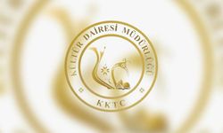Kültür Dairesi, güzel sanatlarla ilgili derneklere mali yardım için başvuru kabul etmeye başladı