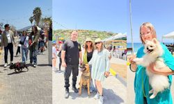 Alagadi’de evcil hayvanlar için festival düzenlendi