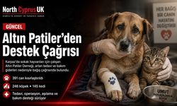 Altın Patiler Derneği’nden yardım çağrısı: “Her bağış bir canın hayatına dokunuyor”