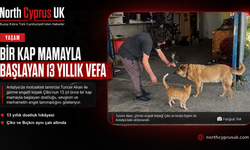 Bir kap mamayla başlayan 13 yıllık vefa