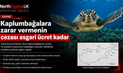 Deniz kaplumbağalarında yuvalama sezonu başladı