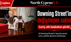 Downing Street’in değişmeyen sakini: Larry altı başbakan gördü