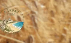 Arpa ve buğday fiyatlarının bir an önce açıklanması talep edildi