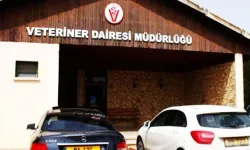 Veteriner Dairesi: Gazimağusa Belediye Mezbahası’nın faaliyetleri geçici olarak durduruldu