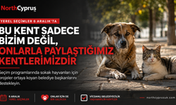 Sandığa giderken bir canı da düşünün