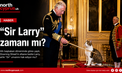 "Sir Larry" zamanı mı? Downing Street'in efsane kedisi için şövalyelik çağrısı