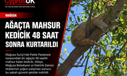 Mağusa Suriçi’nde ağaçta mahsur kalan kedi 48 saat sonra kurtarıldı