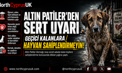 Altın Patiler Derneği’nden uyarısı: “Hayvanlar geçici bir heves değildir”