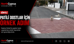 Patili dostlar için örnek adım: Gönyeli, Kaplıca Sokak'ta kasisler can güvenliği sağladı
