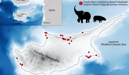 Kıbrıs’ta cüce filler ve cüce su aygırları neden yok oldu?
