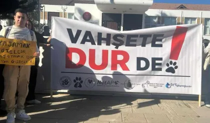 Hayvanlar mal değil, candır! Adalet hepimiz içindir