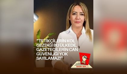 Gazeteci Ayşemden Akın’a Yönelik Tehditlere Tepki: Basın-Sen'den Güvenlik ve Adalet Çağrısı