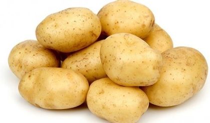 Patatesin dokuz milyon yıllık tarihi: Domatesten melezlenmiş