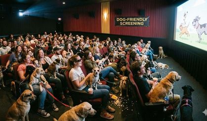Girne’de kalpleri ısıtacak buluşma: “Altın Patiler” için film galası ve kermes!
