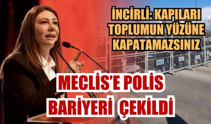 Cumhuriyetçi Türk Partisi Lideri Sıla Usar İncirli’den Meclis barikatına tepki