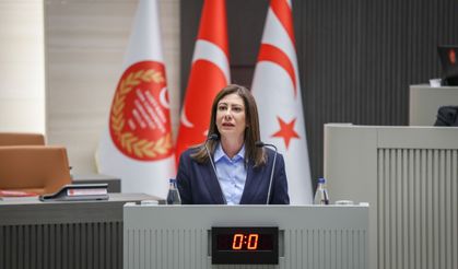 CTP Genel Başkanı Sıla Usar İncirli: Memleket büyük bir sis bulutunun içinde yönetiliyor