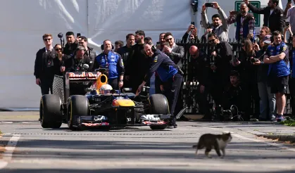 İstanbul'u dolaşan Formula 1 aracının startını kedi verdi!