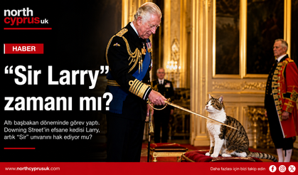 "Sir Larry" zamanı mı? Downing Street'in efsane kedisi için şövalyelik çağrısı