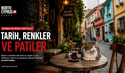 Balat’ın renkli sokaklarının sessiz sakinleri: Kediler