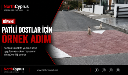 Patili dostlar için örnek adım: Gönyeli, Kaplıca Sokak'ta kasisler can güvenliği sağladı