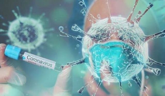 Güney’de bir haftada bin 500 koronavirüs vakası tespit edildi