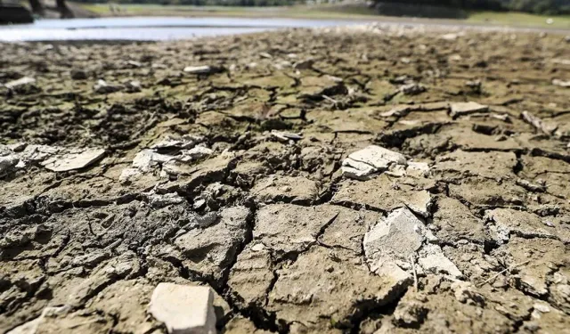 Bakanlar Kurulu, 2022 – 2023 üretim yılında zarar gören köy ve bölgeleri ilan etti