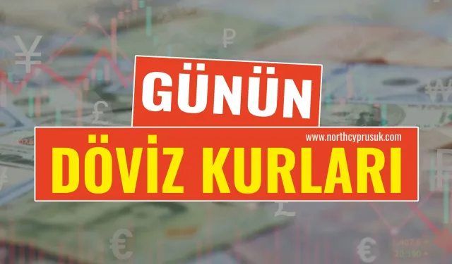 11 Kasım 2024 Döviz Kurları