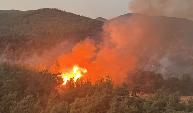 Muğla'da orman yangını: Müdahale sürüyor!