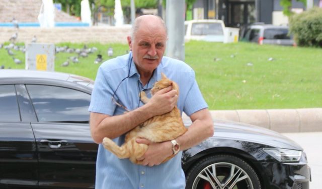 Kedisini kurtarmaya çalışırken ceza yedi, mahkeme hak verdi