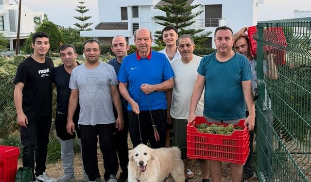 Cumhurbaşkanı Tatar: “Sultani üzüm bu toprakların kültürüdür”
