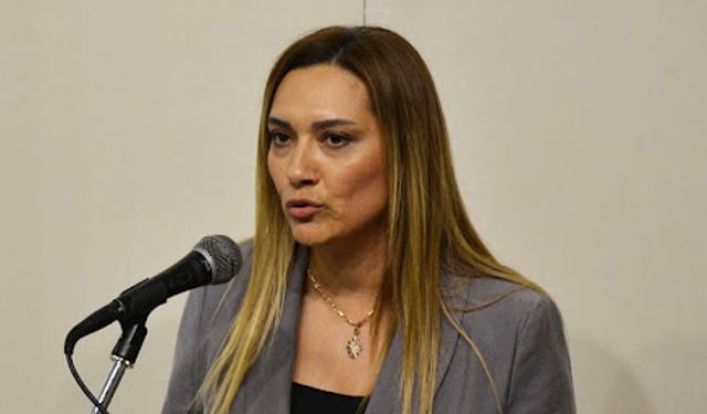 Çalışma Bakanlığı’na Yeni Müsteşar: Sezgi Çobanoğlu Ballı Atandı