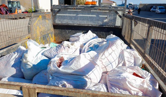 Gazimağusa’da 800 kilo kaçak et ele geçirildi
