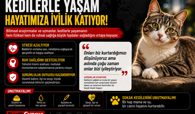 Kedilerle yaşamak: Bir dostluktan çok daha fazlası