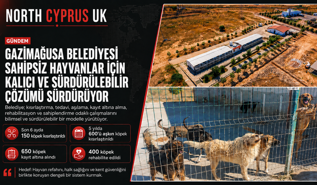 Gazimağusa Belediyesi’nden sahipsiz hayvanlar için kalıcı çözüm odaklı çalışma