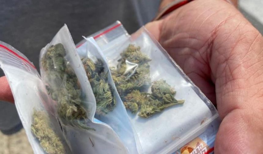 Ukrayna Rusya ile savaşın etkilerini azaltmak için esrarı yasallaştırdı