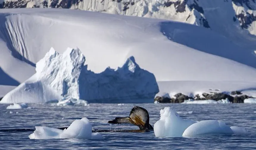 İklim değişikliği Antarktika’daki akıntıyı hızlandırıyor
