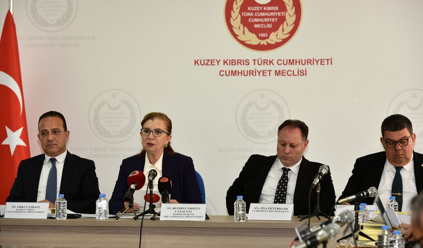 2025 Bütçe Yasa Tasarısı Komitede görüşülüyor… Muhalefet eleştirdi, Bakan Berova yanıtladı