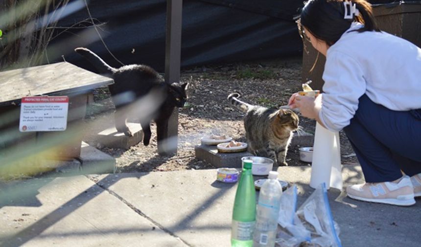 Altın Patiler Derneği’nden acil destek çağrısı: İş dünyasına sosyal sorumluluk daveti