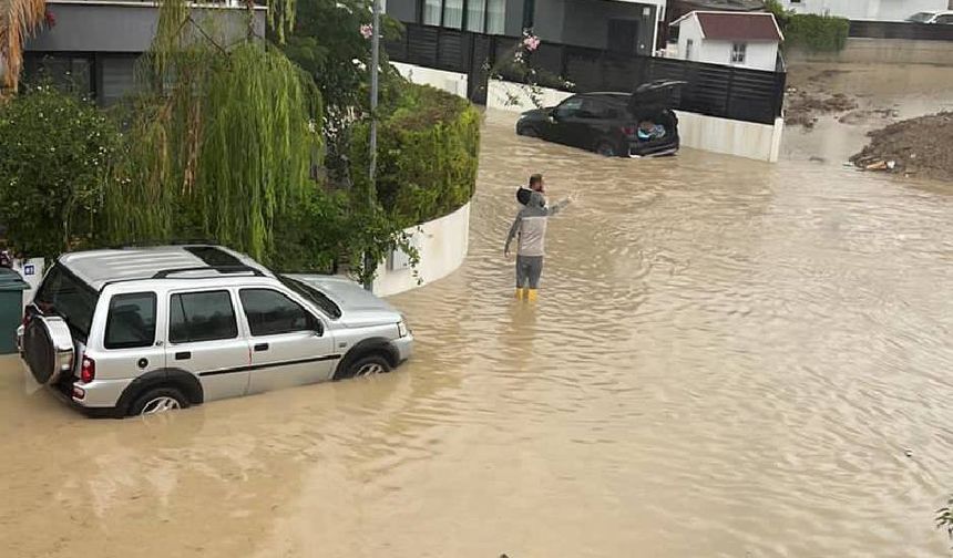 Peyzaj Mimarları Odası: Yaşadığımız şey doğanın değil insanın afeti